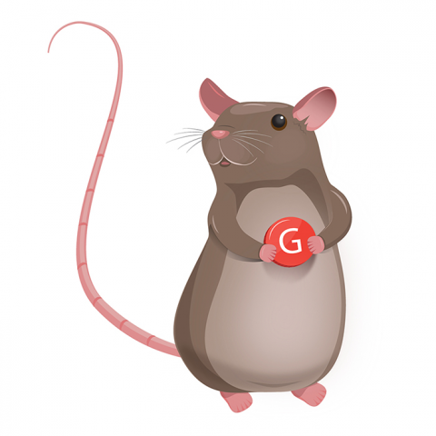 Крысенок для Gmoji
