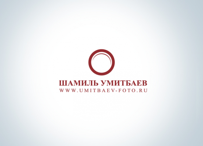 Работа 3885602