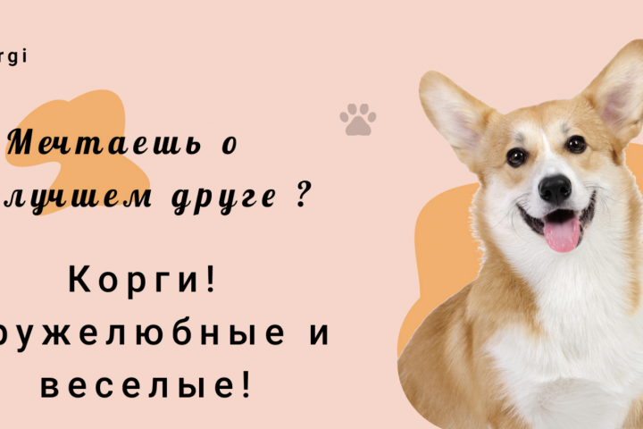 Лучший друг