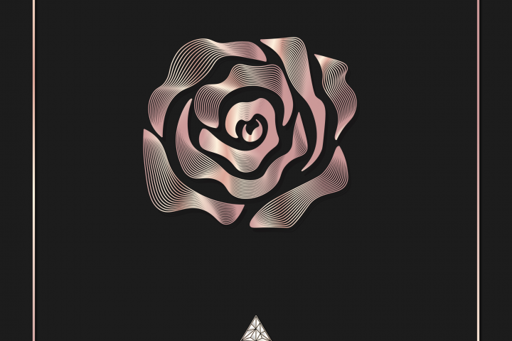 иллюстрация для каталога