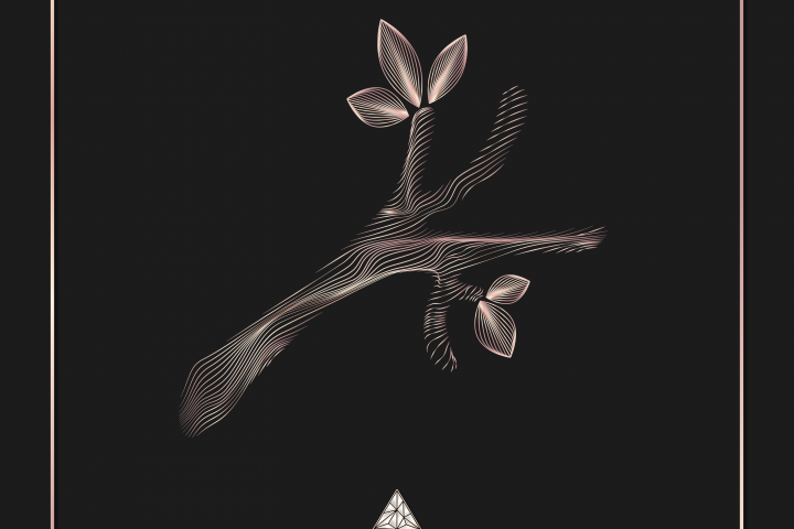 иллюстрация для каталога