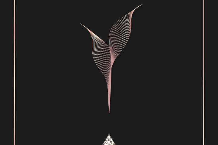 иллюстрация для каталога