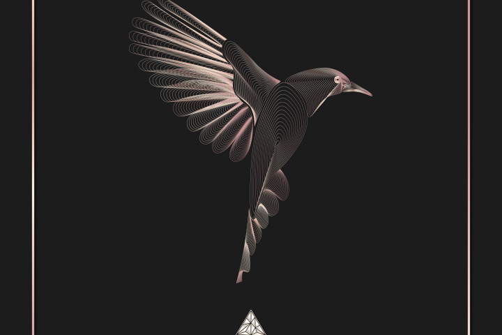 иллюстрация для каталога