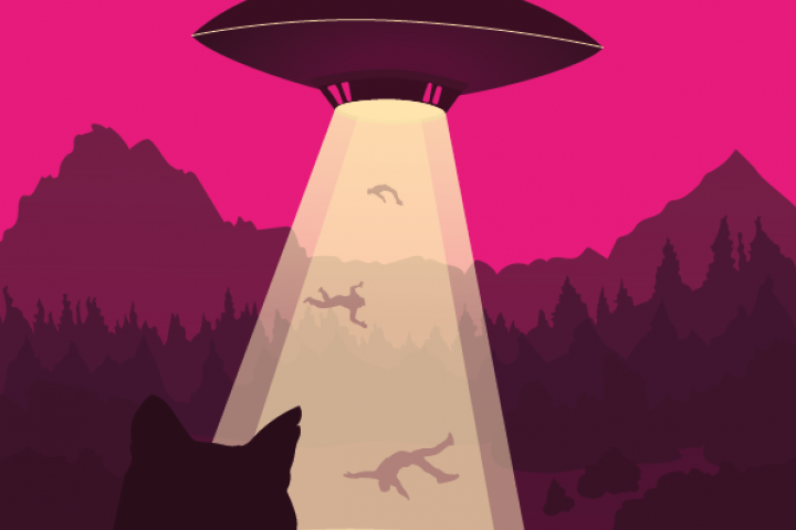 Котики и НЛО