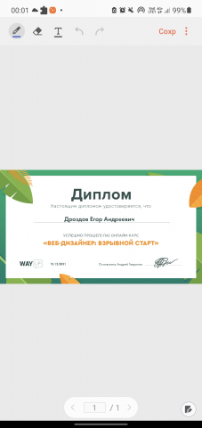 Диплом WAYUP за прохождение курса