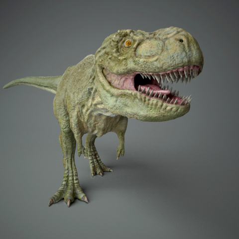 Tyrannosaur