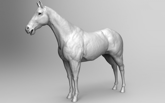 horse