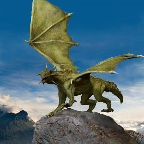 dragon