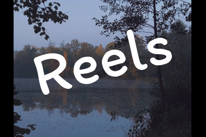 Озвучка Reels