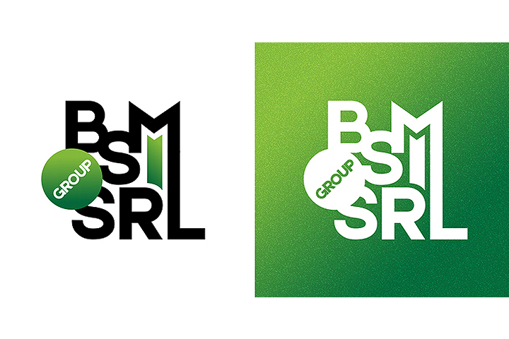 BSM SRL group logo