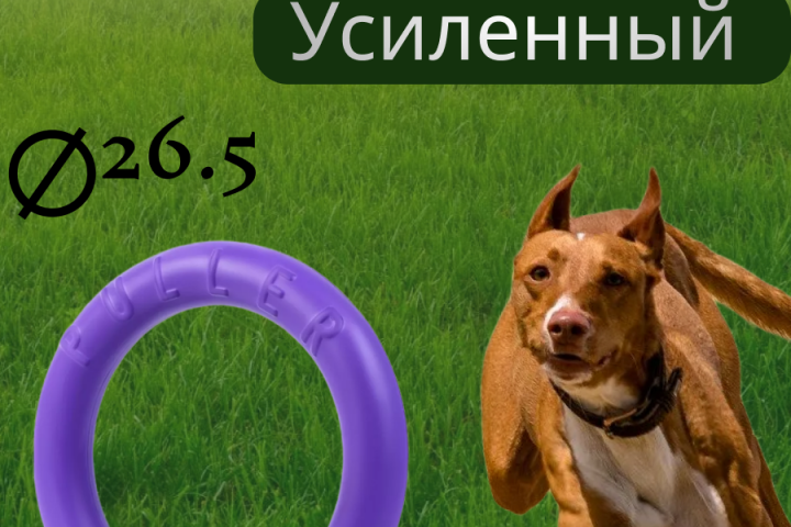 Карточки для мп