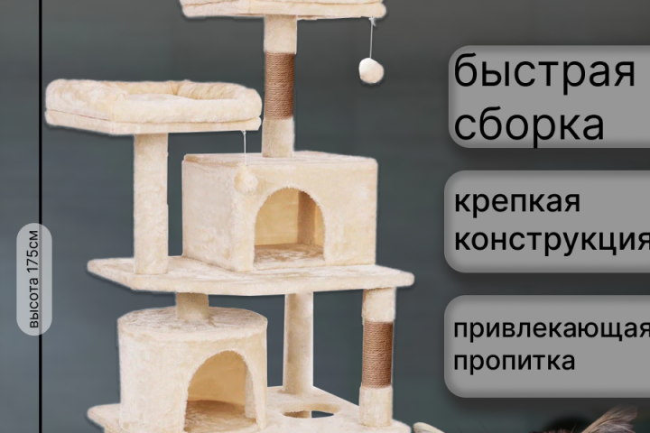 Карточки для мп