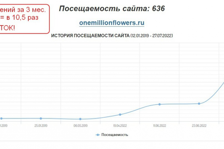 Рост посещений сайта за 3 мес. в 10,5 раза с 60 до 636