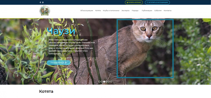 Питомник для элитных кошек