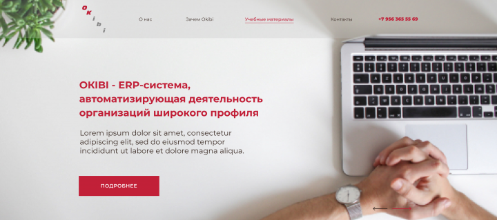 Сайт для ERP-системы - ОКIBI