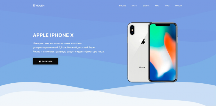 MolenLanding Page IPHONE X