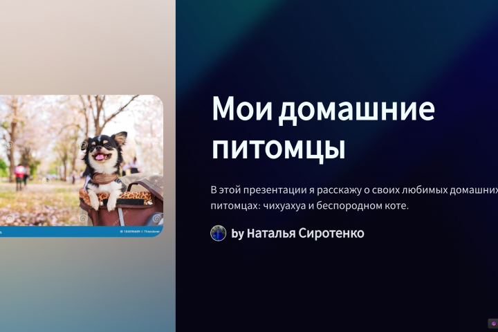 Презентация сайта "Мои домашние животные"