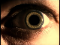 Работа 2694262