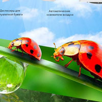 Интернет-магазин Rixo