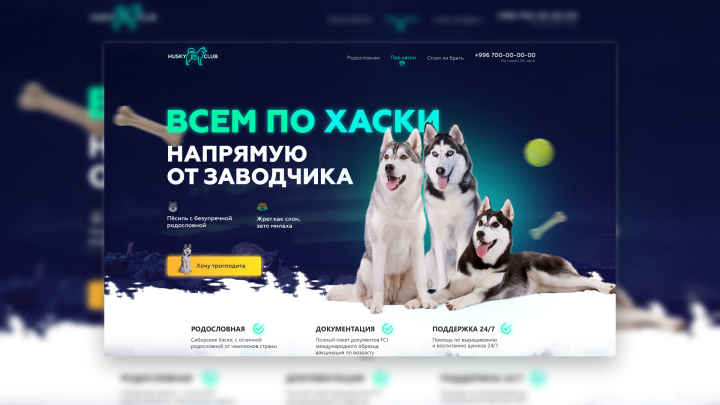 Страничка для моего хасиля)