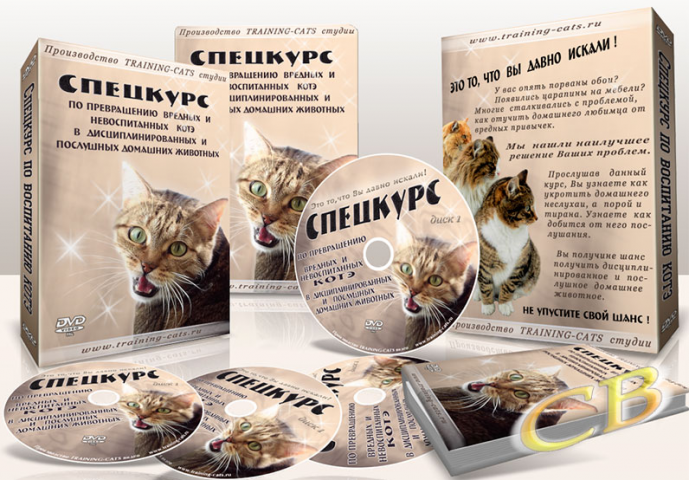 Спецкурс Котэ
