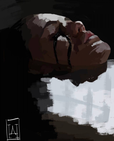 Качественная, но не сильно детализированная иллюстрация