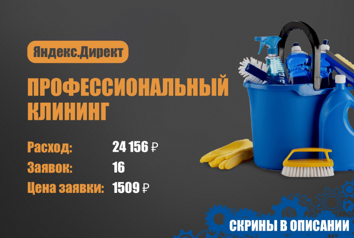 Яндекс.Директ. Профессиональный клининг
