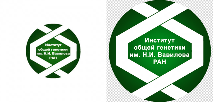 Логотип Института общей генетики им. Н.И.Вавилова РАН