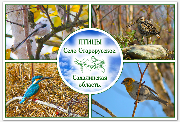 Изготовление набора открыток