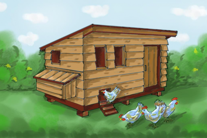 Курятник в деревне