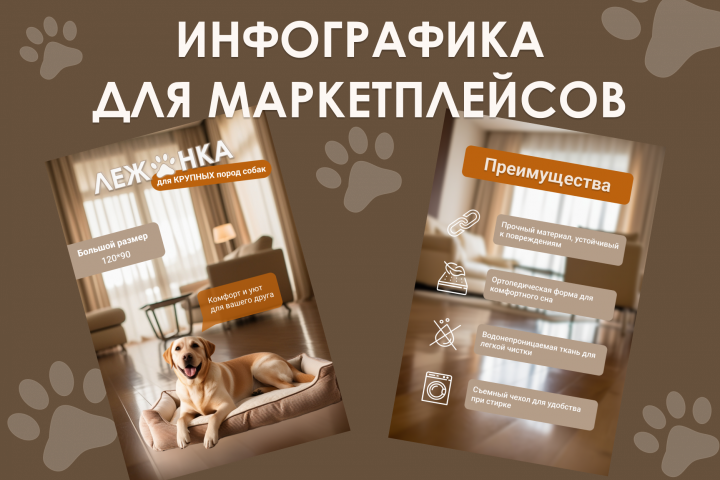 Инфографика