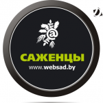 лого "websad.by"