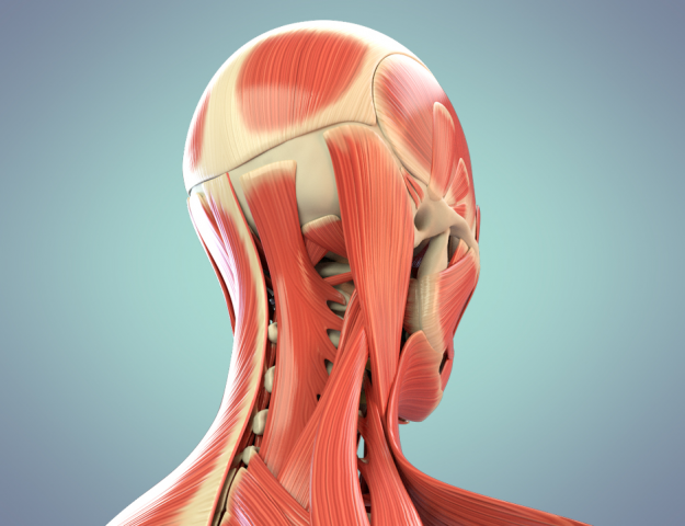 ����� ���