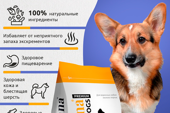 Инфографика для карточки