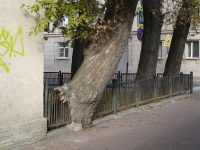 Работа 2963730