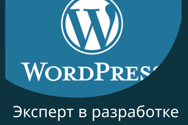 Эксперт в разработке сайтов на WordPress