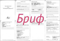 Бриф по акции