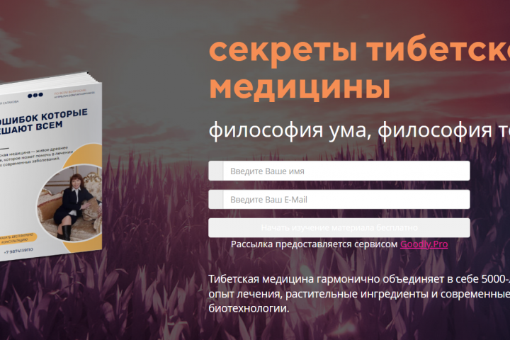 Лэндинг