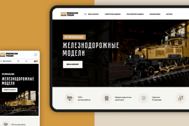 Премиальные железнодорожные модели