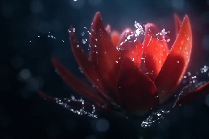 ������� ����������� �������