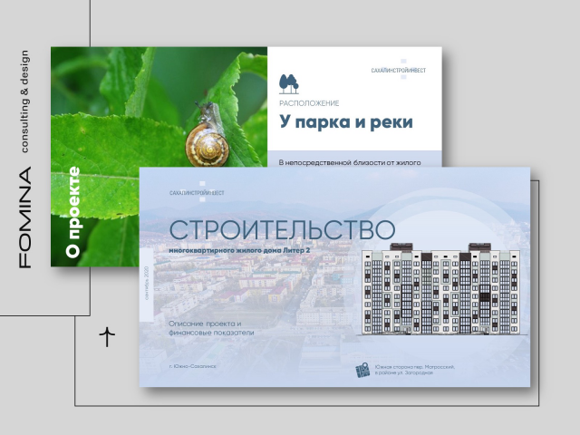 Разработка презентации для инвестора