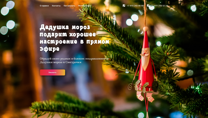 Ded Moroz Zoom