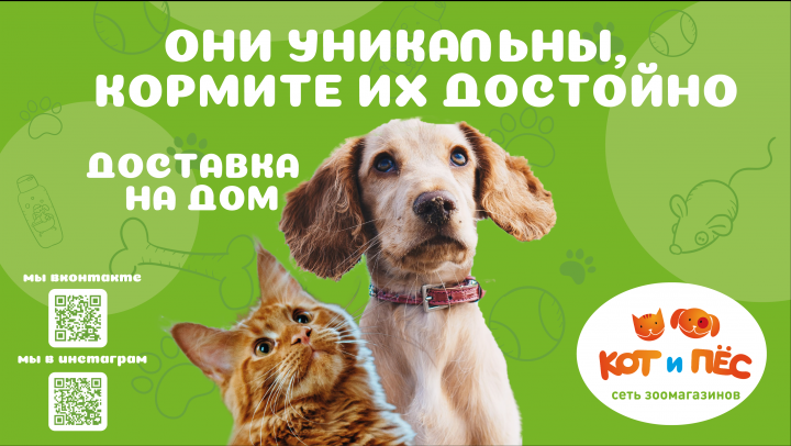 Конкурсный дизайн наклейки на окно для зоомагазина