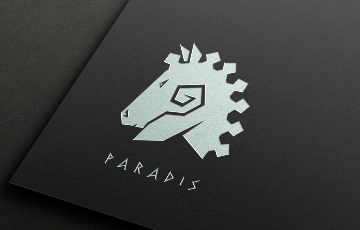 Логотип PARADIS