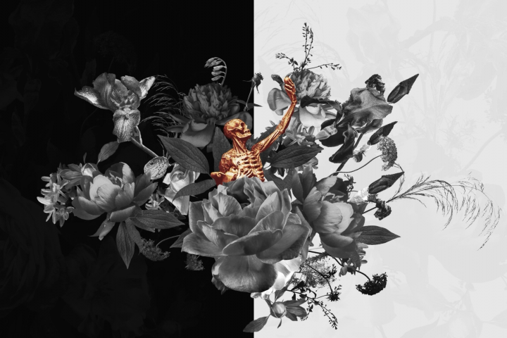 2D анимация - Flower