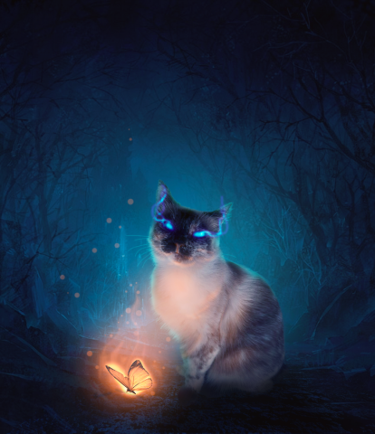 Арт. Кошка