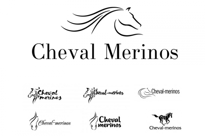 Разработка логотипа для магазина одежды из шерсти