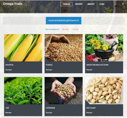 Разработка сайтов на CMS Joomla, Wordpress, Opencart
