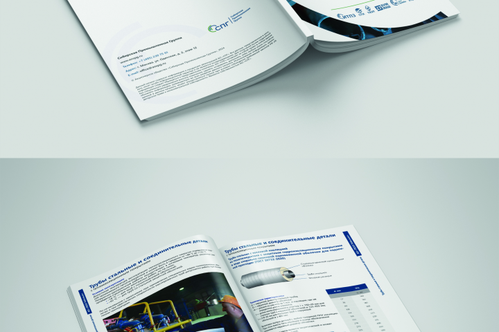 Заказчик  Промышленная группа СПГ (Москва)