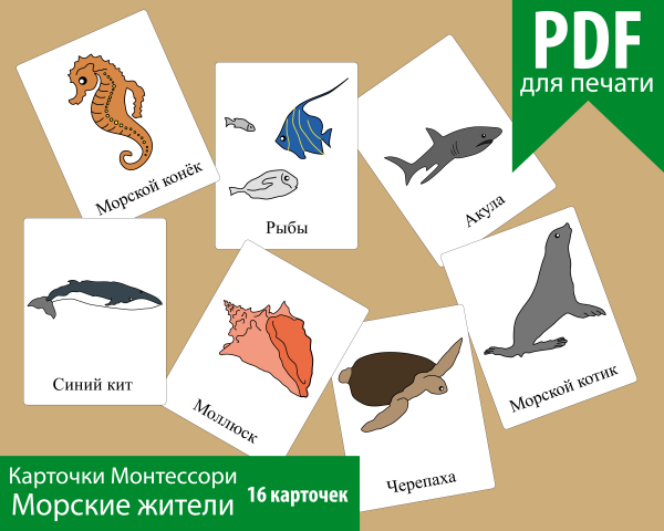 Обучающие карточки "Морские жители"